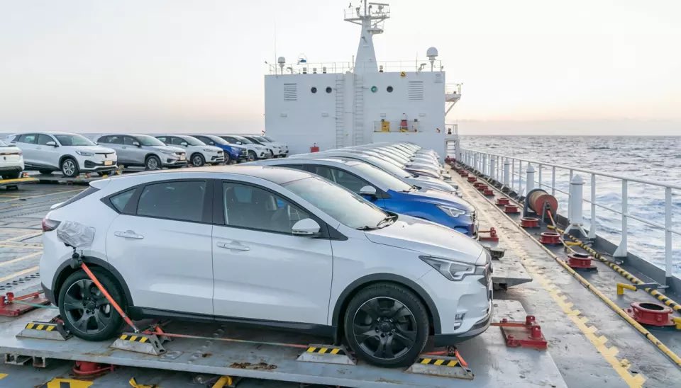 الدب نت ALDOBnet tweet media