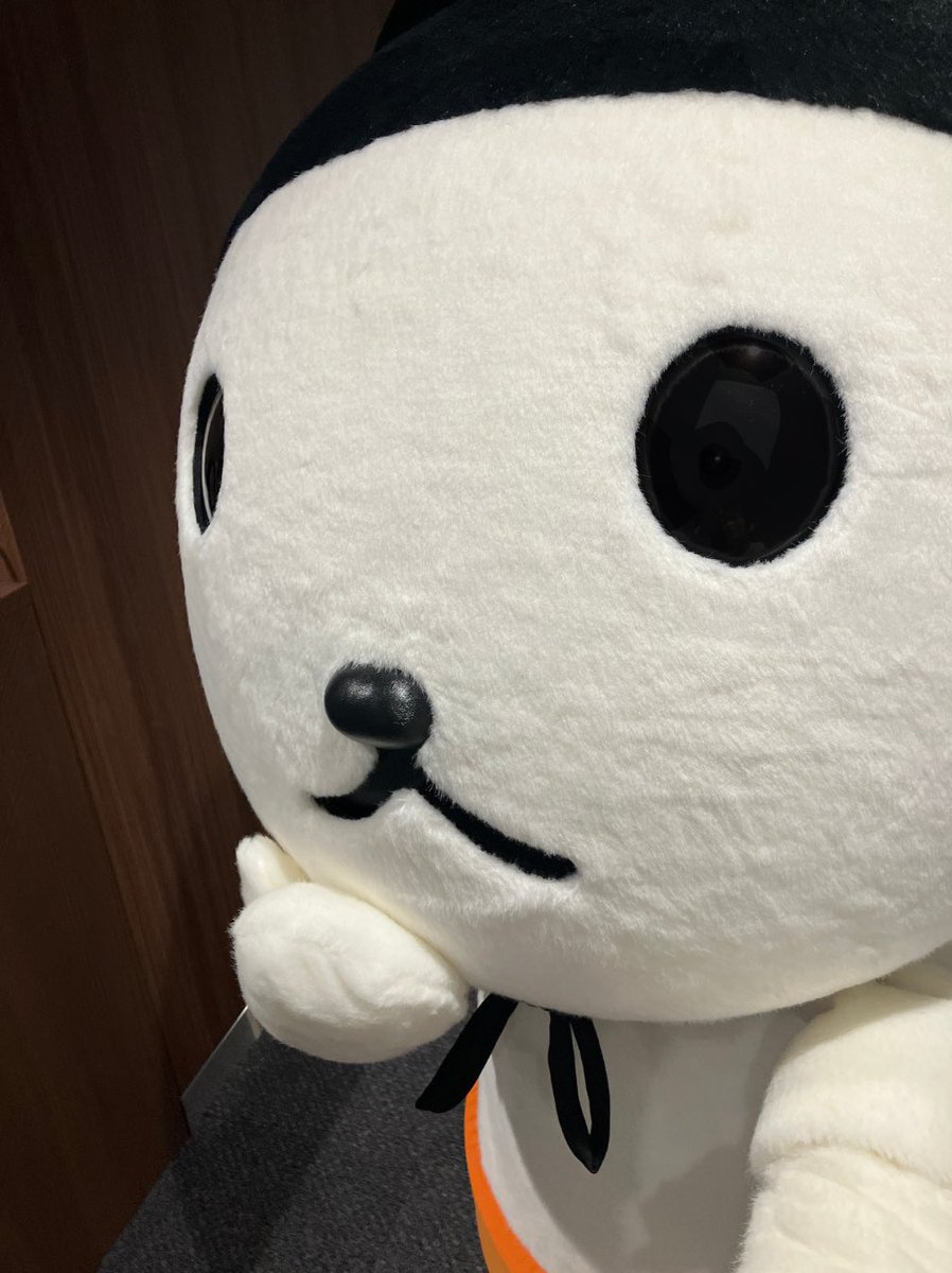 OH!くん、自撮りもばっちり⭐️
けど…ちょっぴり近いかも?

#OHくん #OHK #岡山放送 #OHくん観察日記