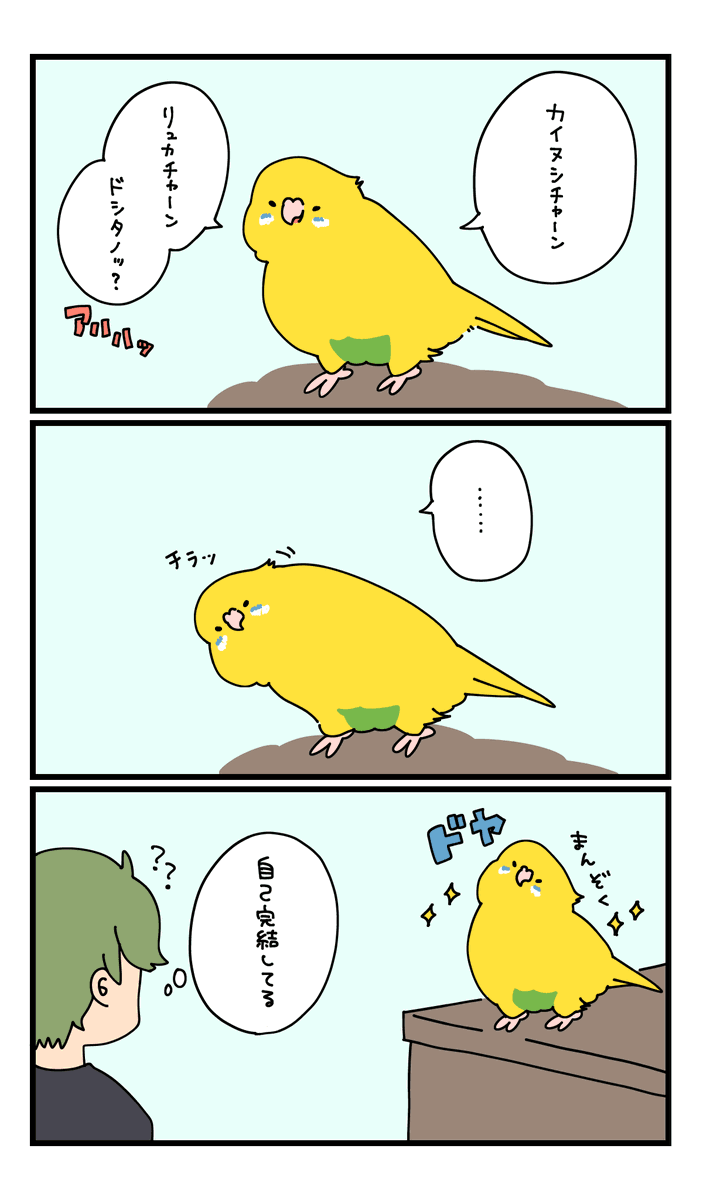 りゅか🍊きゅい tweet media