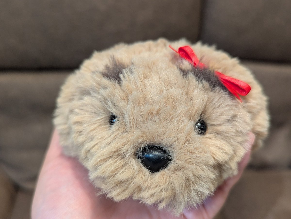 糸も、毛糸も。 tweet media