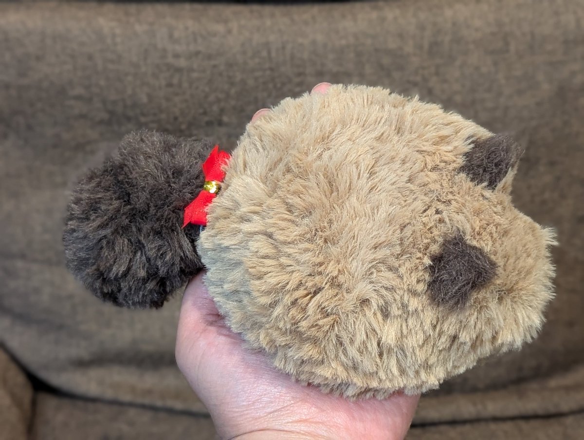 糸も、毛糸も。 tweet media