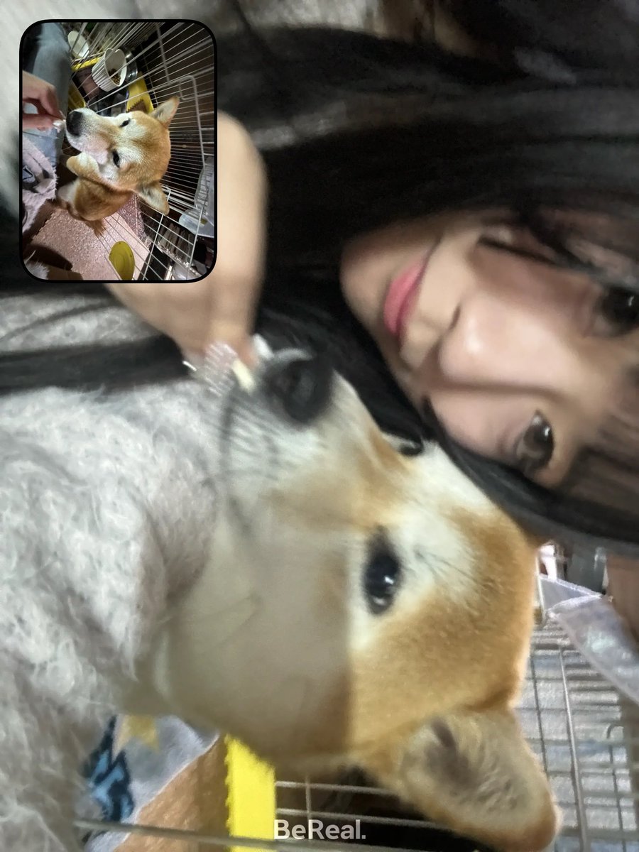 桃月莉妃 【ラルムストーン】 tweet media