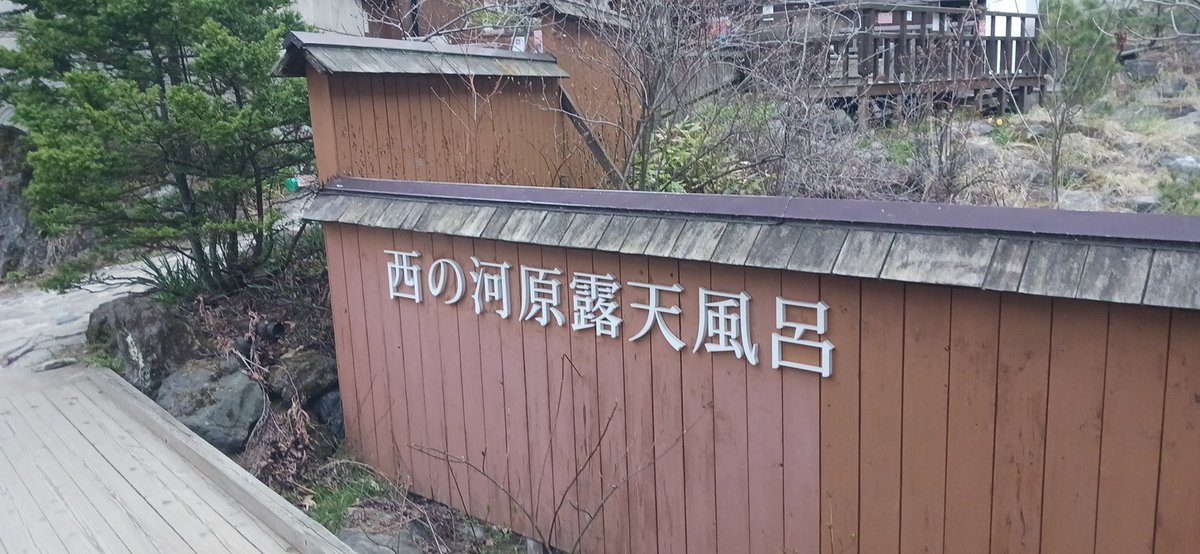 野生児課長 tweet media