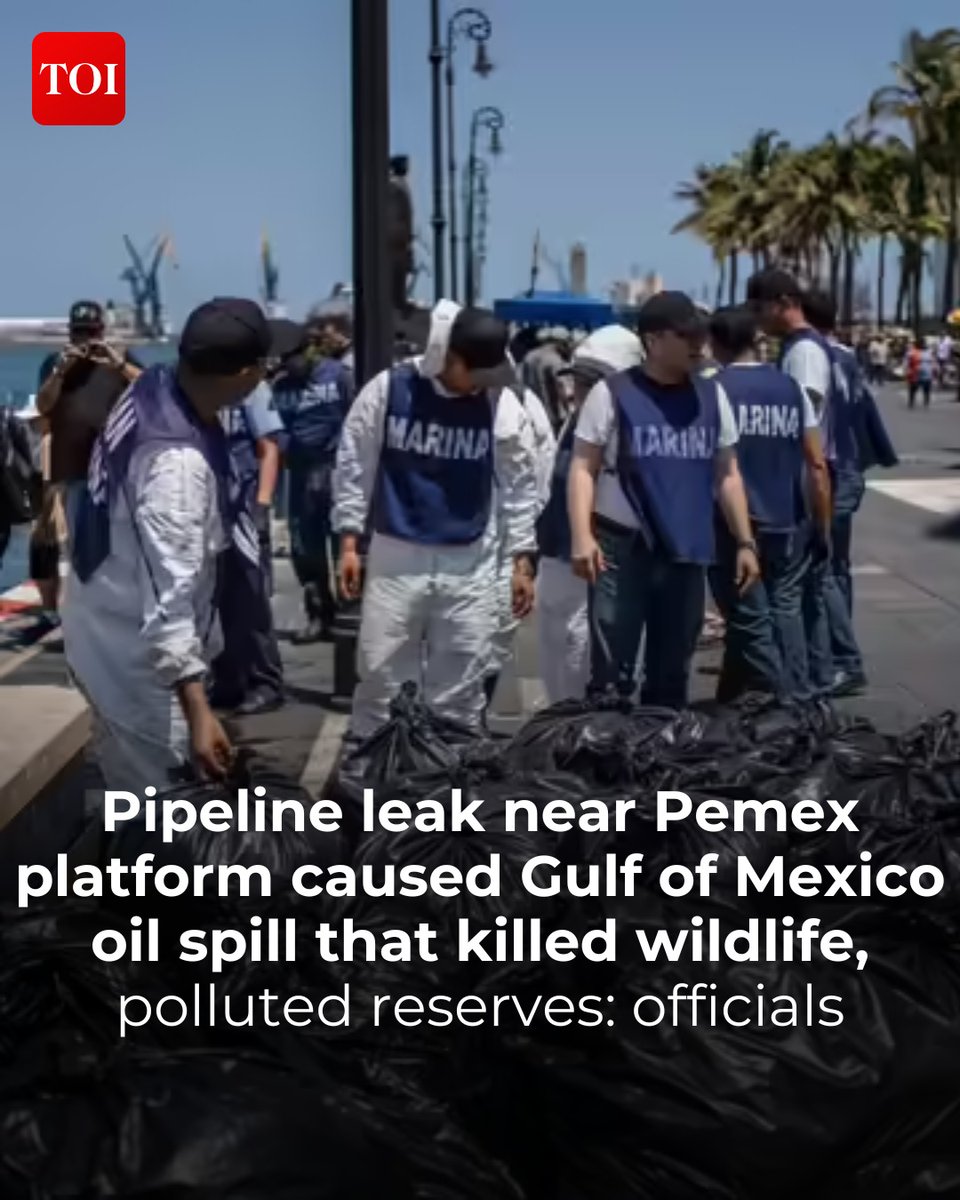 The Times Of India tweet media