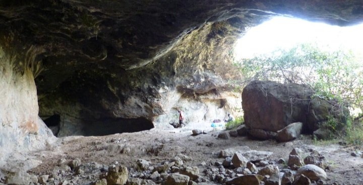 milestogo_in's tweet photo. There are caves in Kenya associated with bats and viruses. especially: 🦇 Kitum Cave.
Kitum Cave linked historically to Marburg virus (a rare but severe disease).
Marburg belongs to the same family as Ebola.
Marburg virus mortality rate: From 24% to 88%, bUT this depends on outbreak, and healthcare.
These caves are not “filled with a virus” constantly — viruses exist in some specific hosts (like bats), not floating everywhere like air.