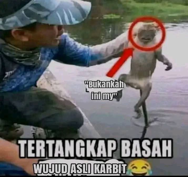 jiwa tweet media