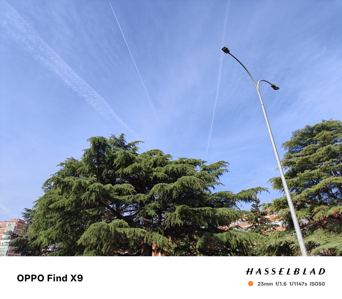 ❌SERGIO tweet media