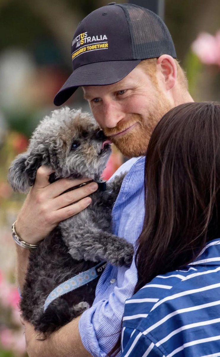That puppy is a fan! 😃