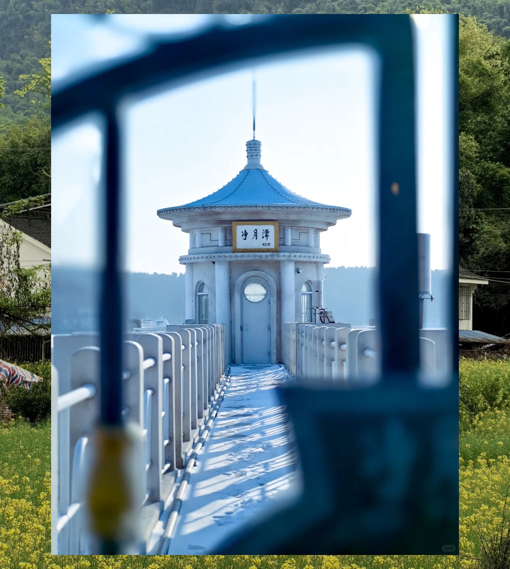 Lisa Wolfe tweet media