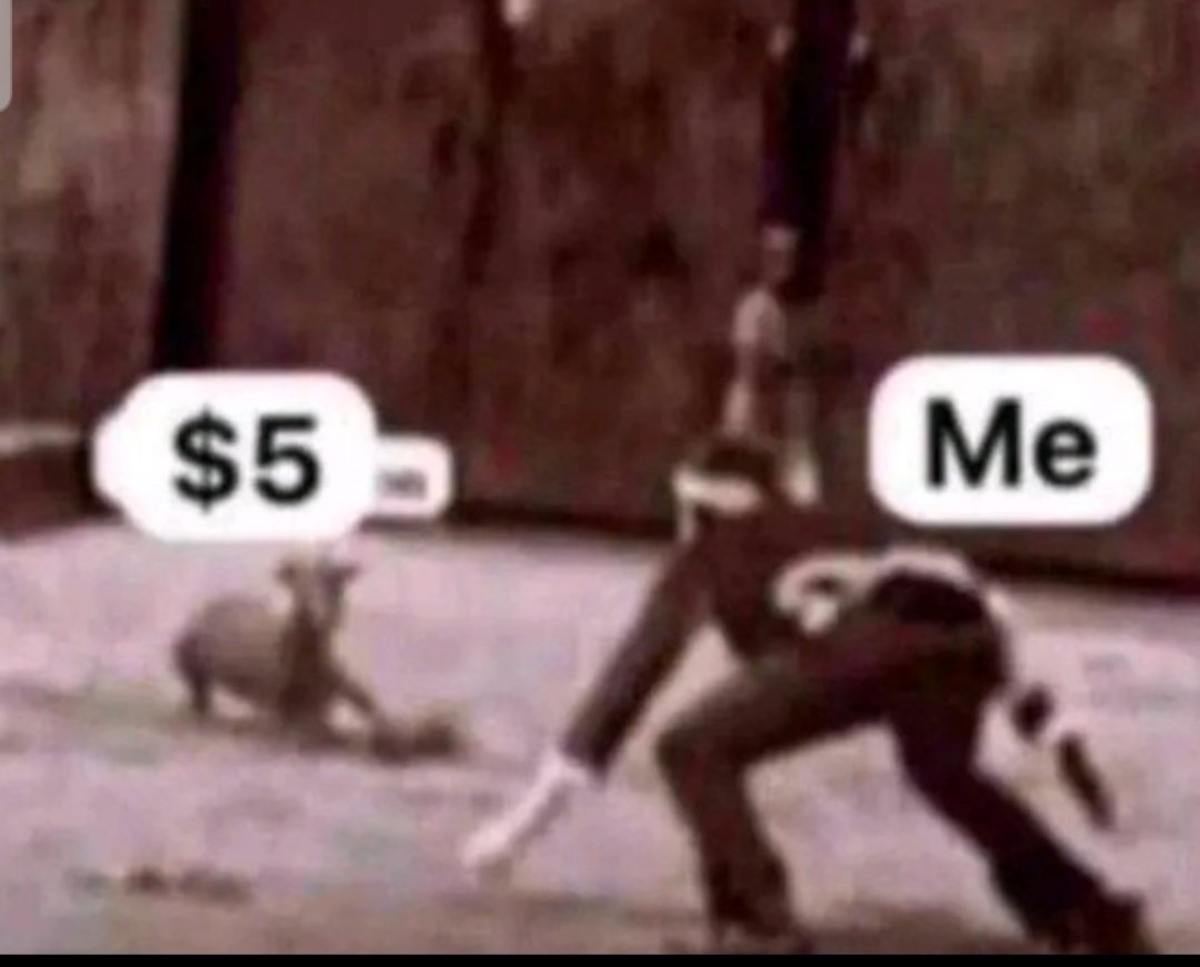 Barachagreen🐝, 🍊,💊 tweet media