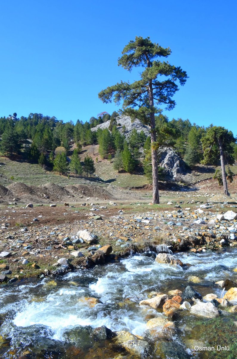 Eşeler yaylası Dodurga Acıpayam Denizli