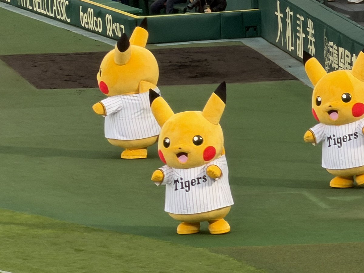 まー 𝑿 🐯 tweet media