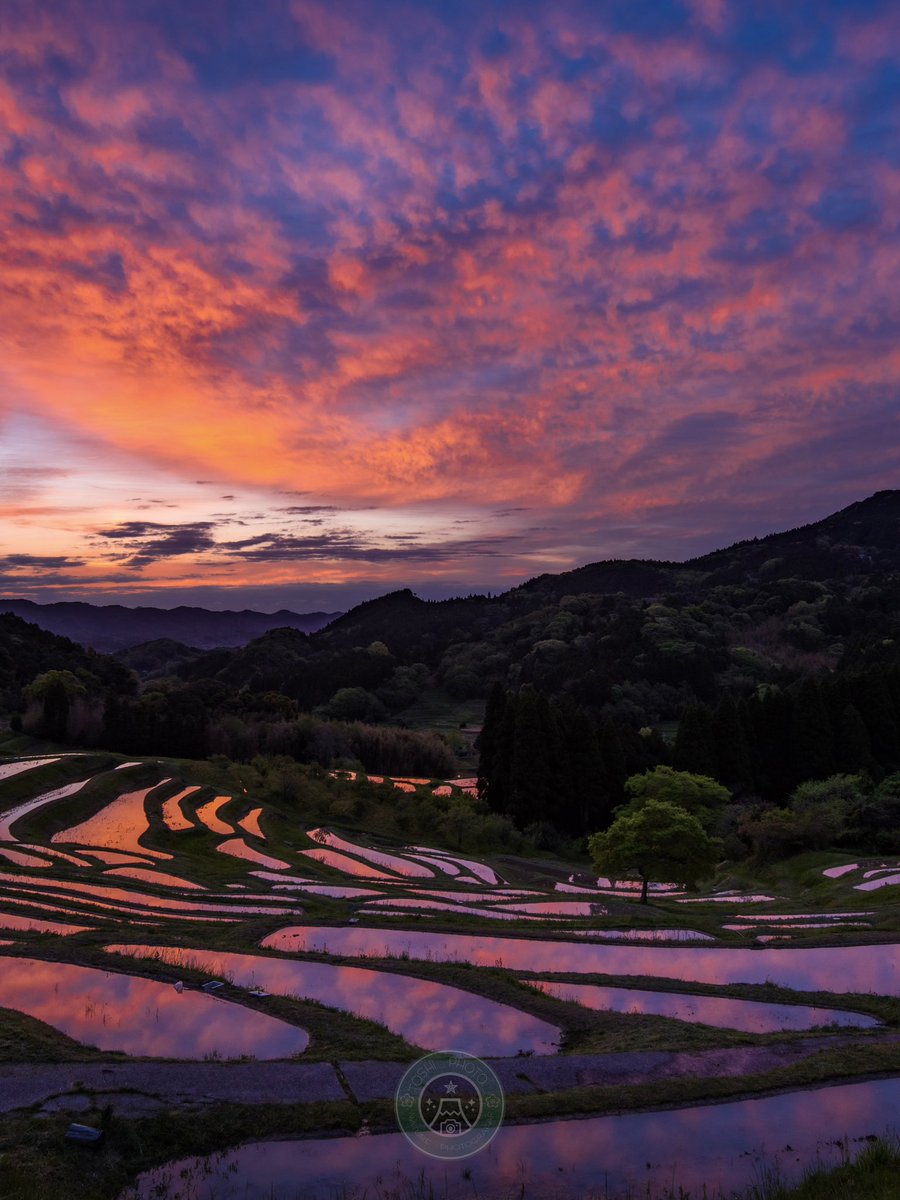 Toshi / Nature Photographer tweet media