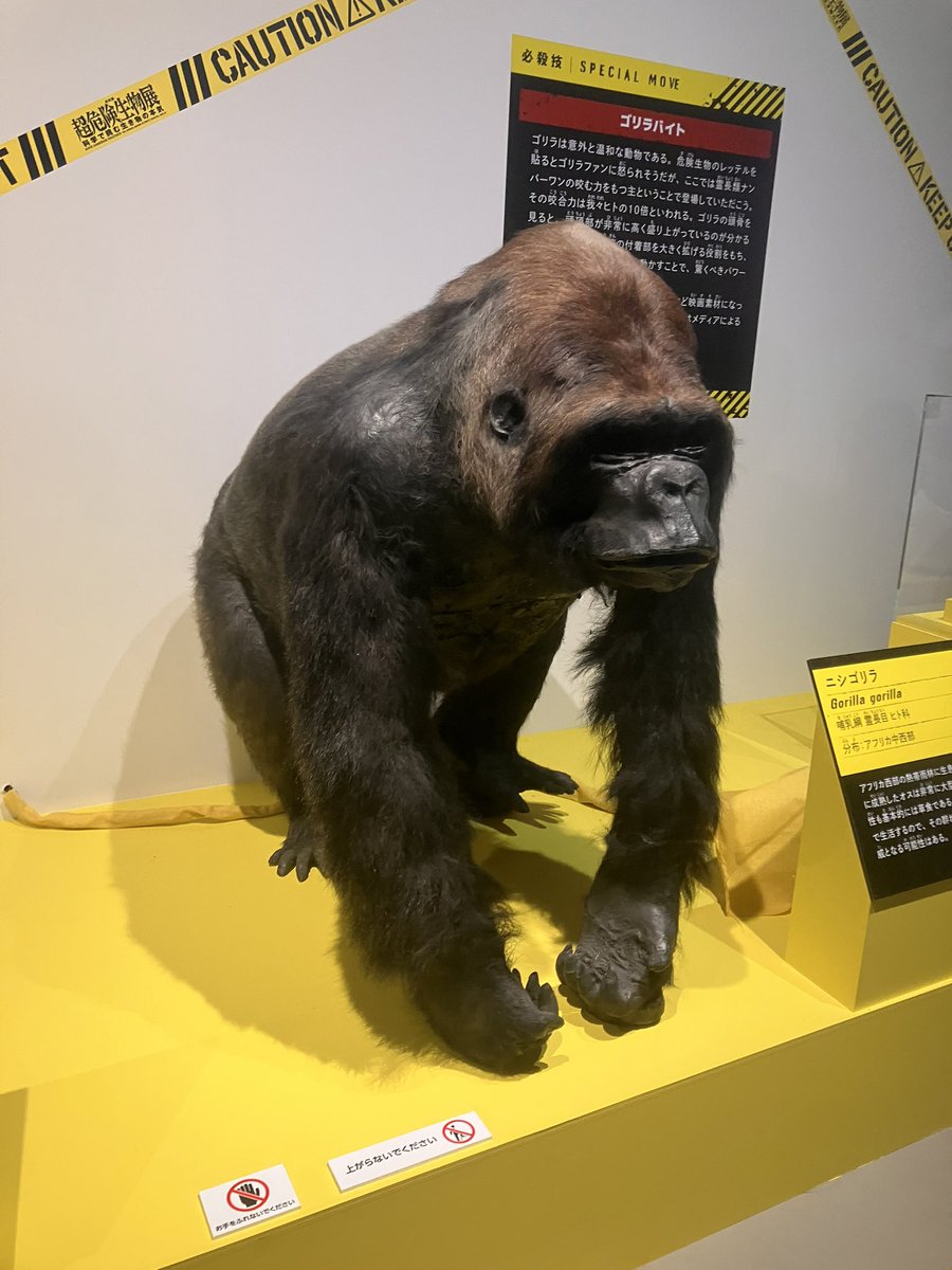 塩田☆ tweet media