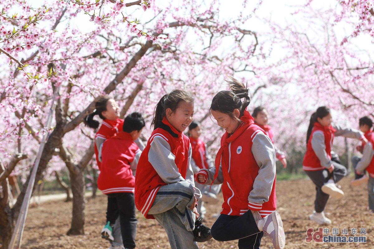 Amazing Weifang tweet media