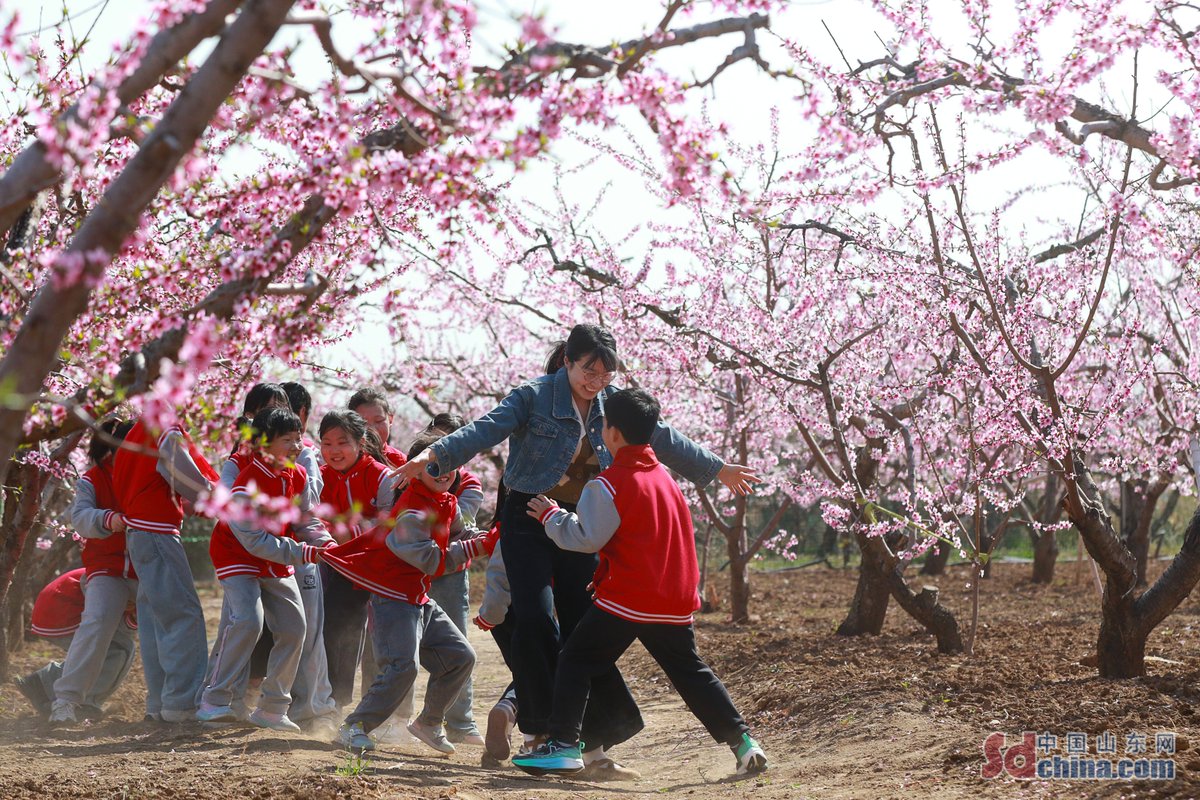 Amazing Weifang tweet media