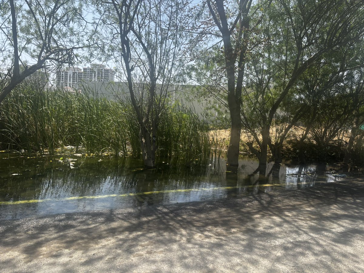 anujg2711's tweet photo. @IAS_Pradeep_001 @MCManesar @SwachhBharatGov @MihikaShahh @leenadhankhar @htTweets @HTGurgaon @TOIGurgaon @MeraGurgaon @ReporterGurgaon @gurgaon_live @DEEPAKKAHUJA @CPCB_OFFICIAL @RaoNarbir @NayabSainiBJP @ZC_zenith @SurensinghNBT @sumedhasharma86 @PuneetJ83054825 No action taken https://t.co/MT4GopKXiF