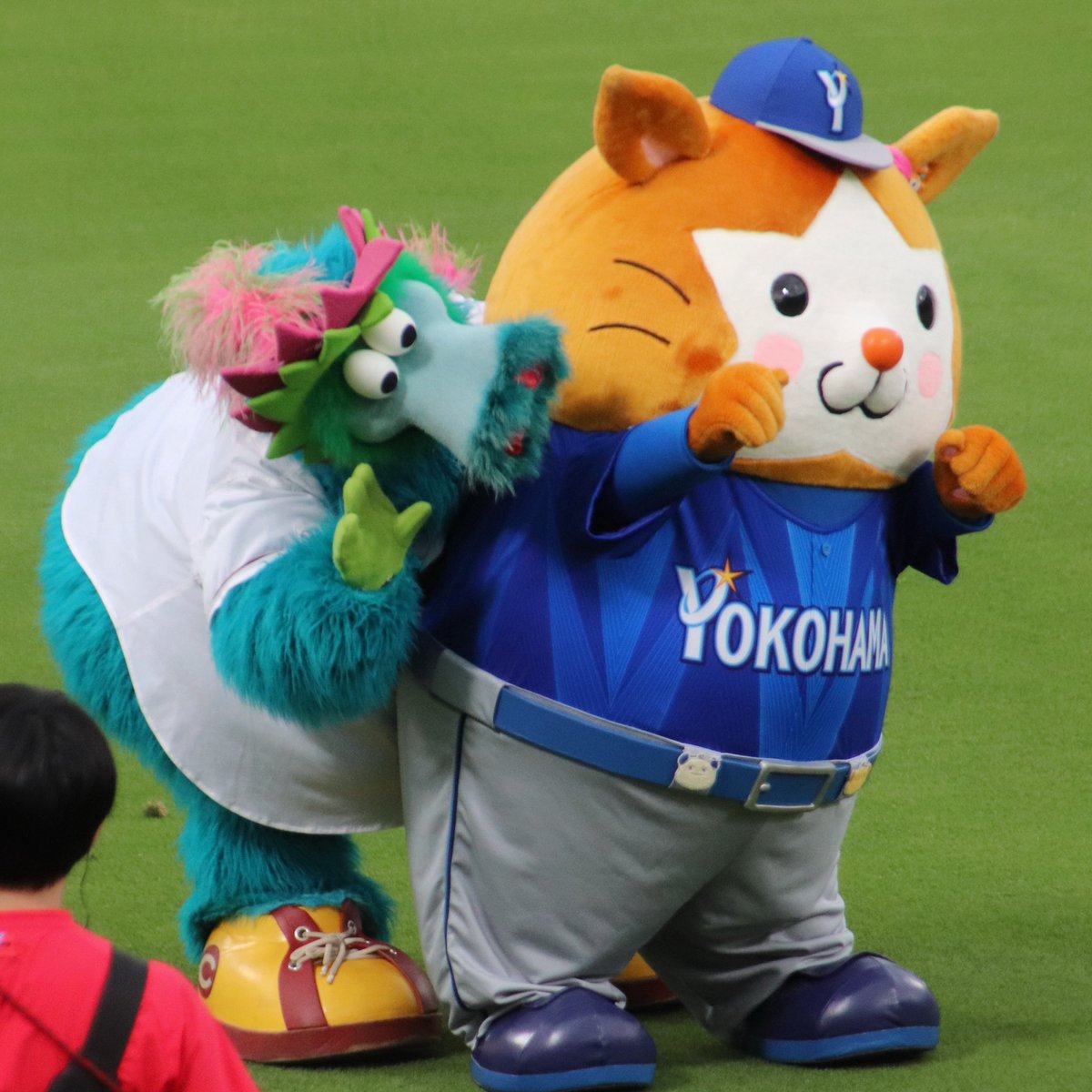 らんぴーちゃん tweet media