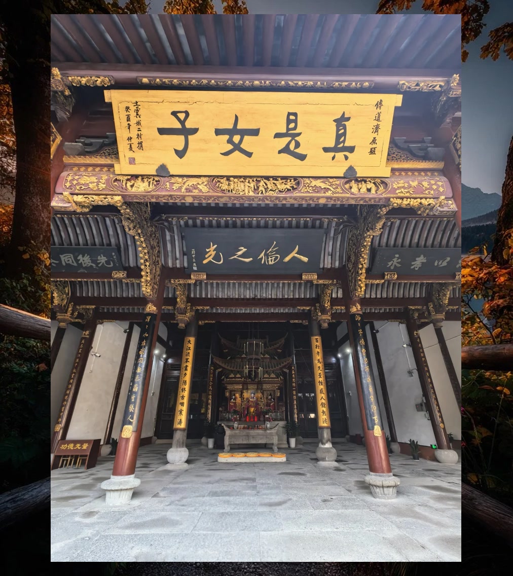 Sandy Adams tweet media