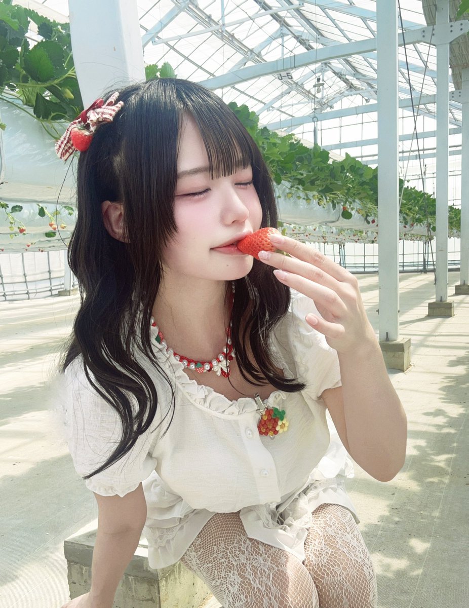 佳凪きの〈Kolokol〉 tweet media