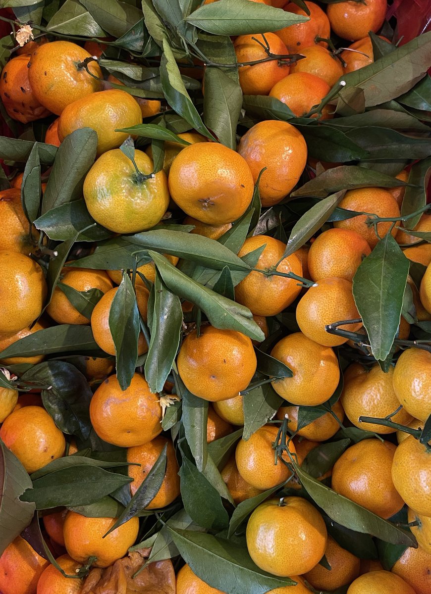 sampingfore's tweet image. shot by phone ??? no filter no edit no problem 

dipaksa ngeluarin arsip 3 tahun lalu lagian hobi banget bikin orang ubek2 galeri @danskuss 🫵🏻