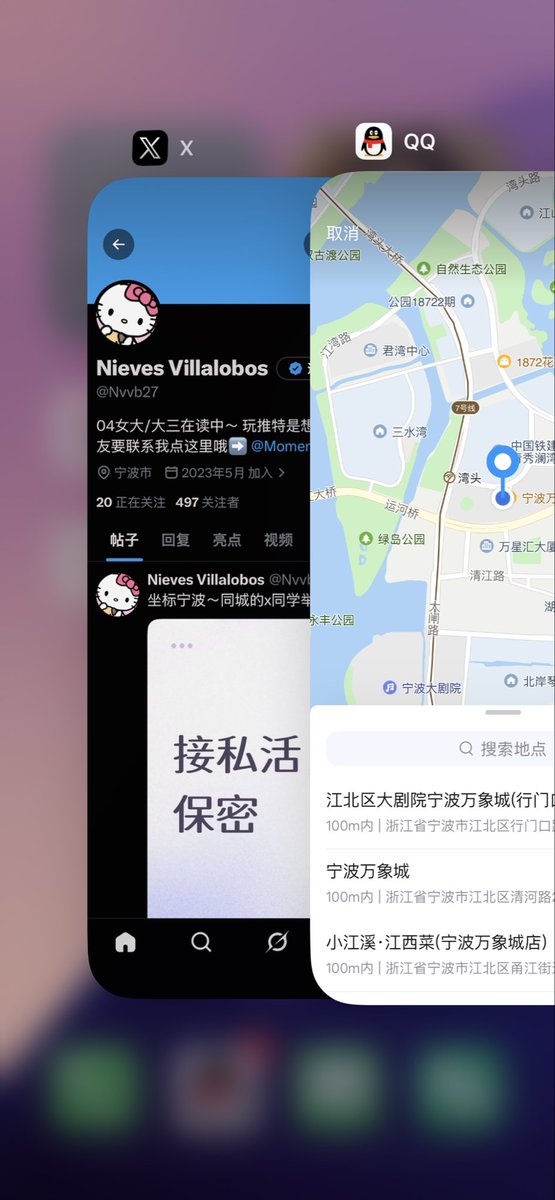 Nieves Villalobos tweet media