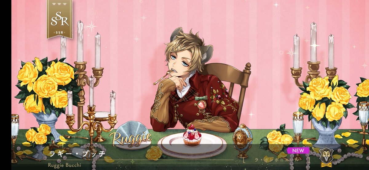 🐚とりばーど！🐙 tweet media