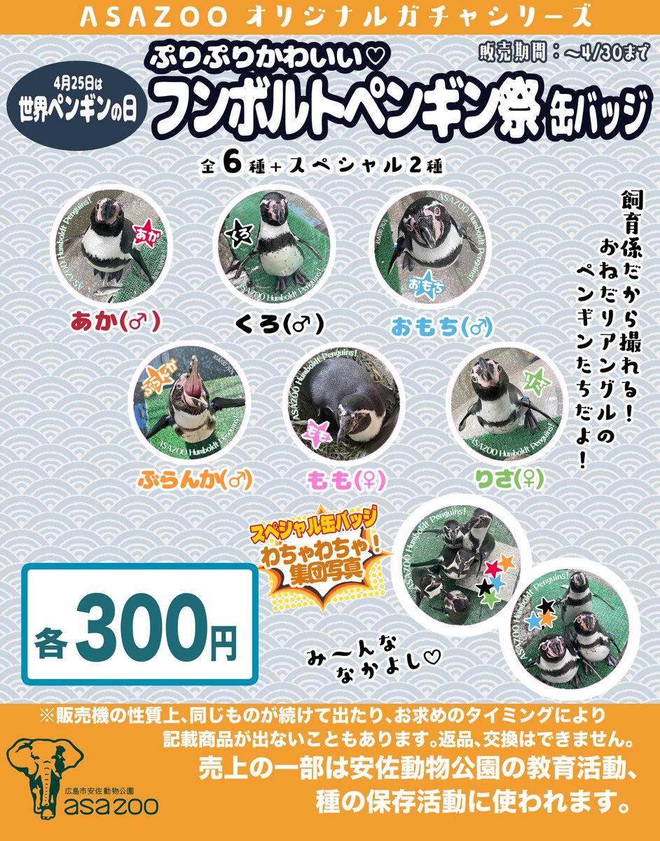 asa_zoo's tweet image. 【ガチャ新シリーズ販売中！】 安佐動物公園では4/25の「世界ペンギンの日」に向けて「フンボルトペンギン祭缶バッジガチャ」、4/27の「世界バクの日」に向けて「マレーバク祭缶バッジガチャ」を本日より販売します！ ぜひ正門売店「アサンテ」にてお買い求めください！ #asazoo #zoo #ガチャ