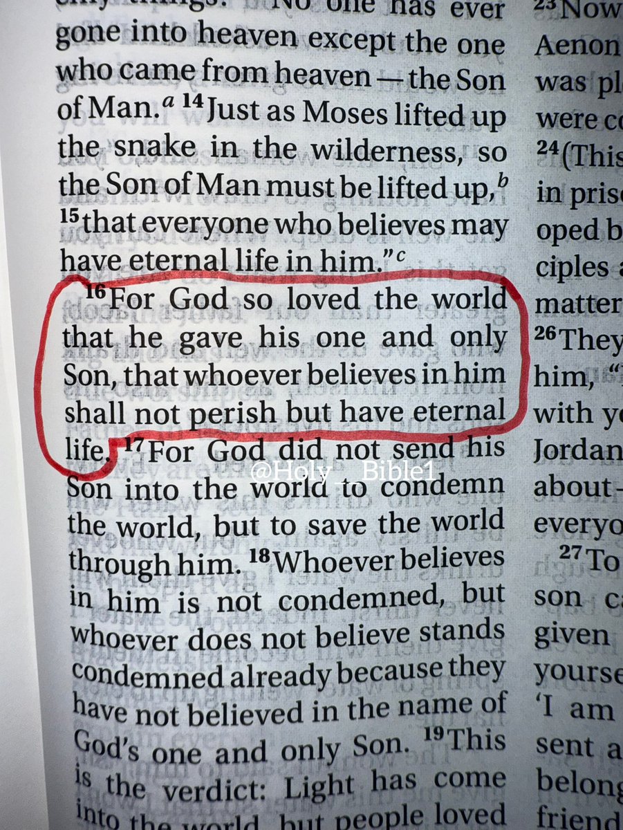 Holy Bible tweet media