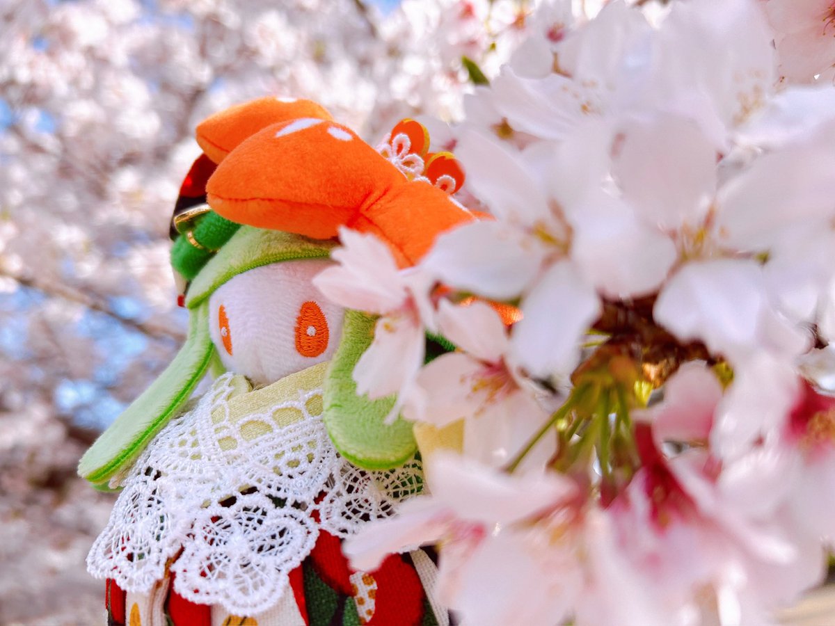 みひめかおり tweet media