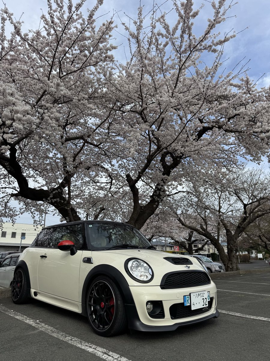 cs0000407's tweet photo. 東霊園😊2026春🌸 https://t.co/LnXcGKgZdH