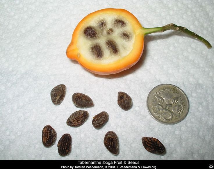 #AnonManMediating™️🌹 💭🕴🏿💭 tweet media