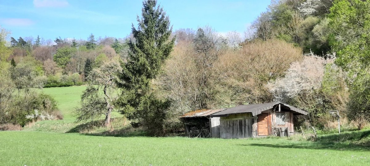 Vanessas Köter 3 tweet media