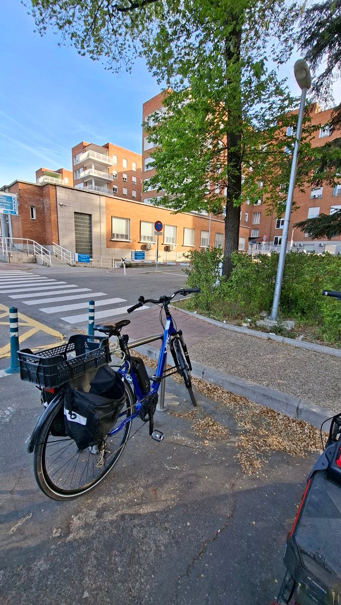 Sergio Paniagua 🌻 tweet media