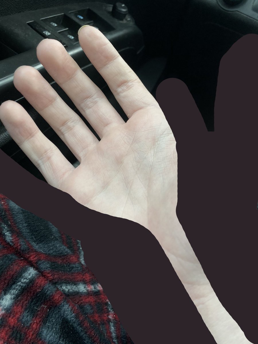 freddy freakaday tweet media