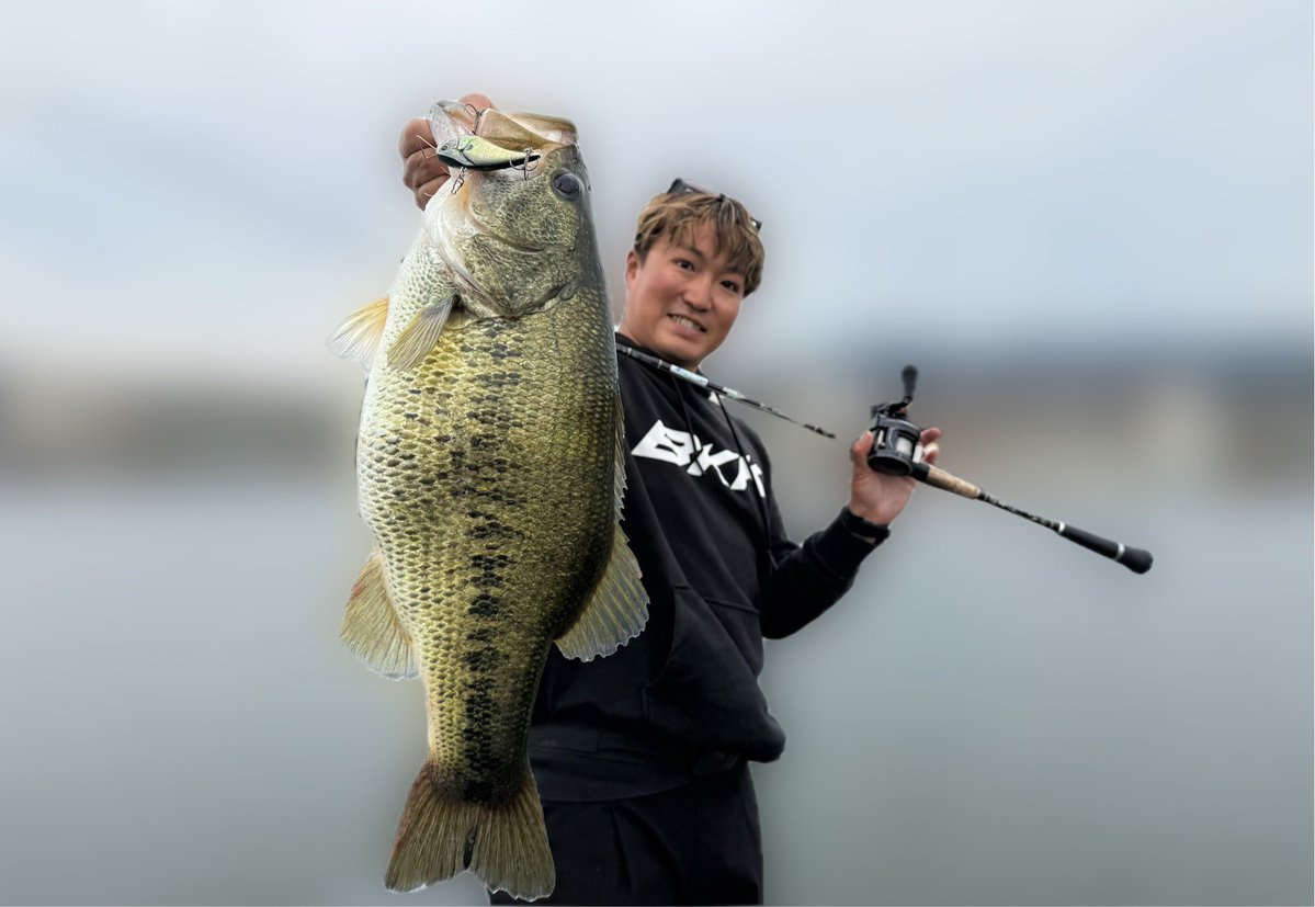 ビックリマン高田雄介 tweet media