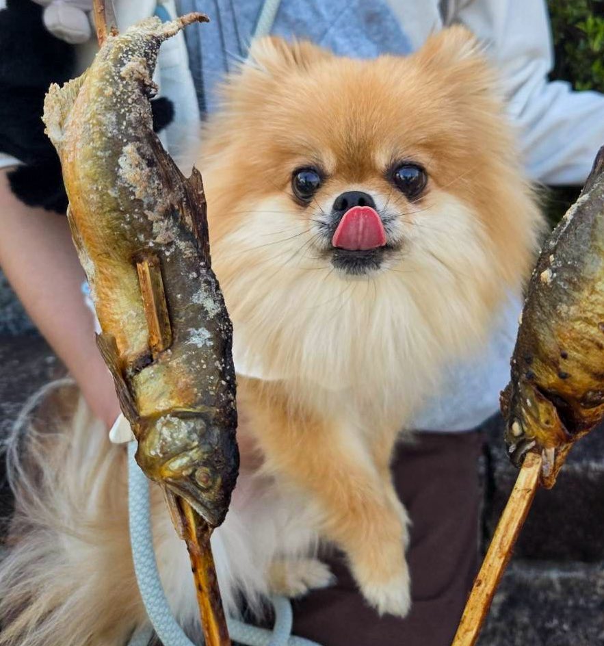 EBIKECHI tweet media