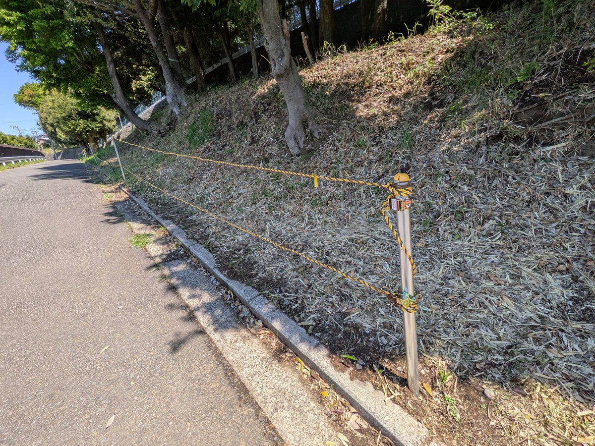 MihoForest's tweet photo. 4/16（木）の作業は西側の保存緑地で道路に面した敷地境界に単管パイプを打込み、寅ロープを張りました。
不法投棄を戒める看板も立てる予定です。😁 https://t.co/YezRLtaYs3