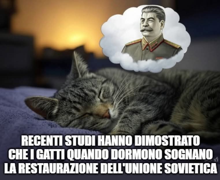 Kety ✊🏼🇵🇸☭🚩 tweet media