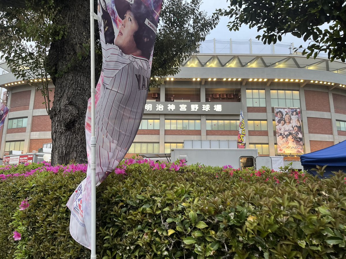 秋広優人返却提案おじさん tweet media