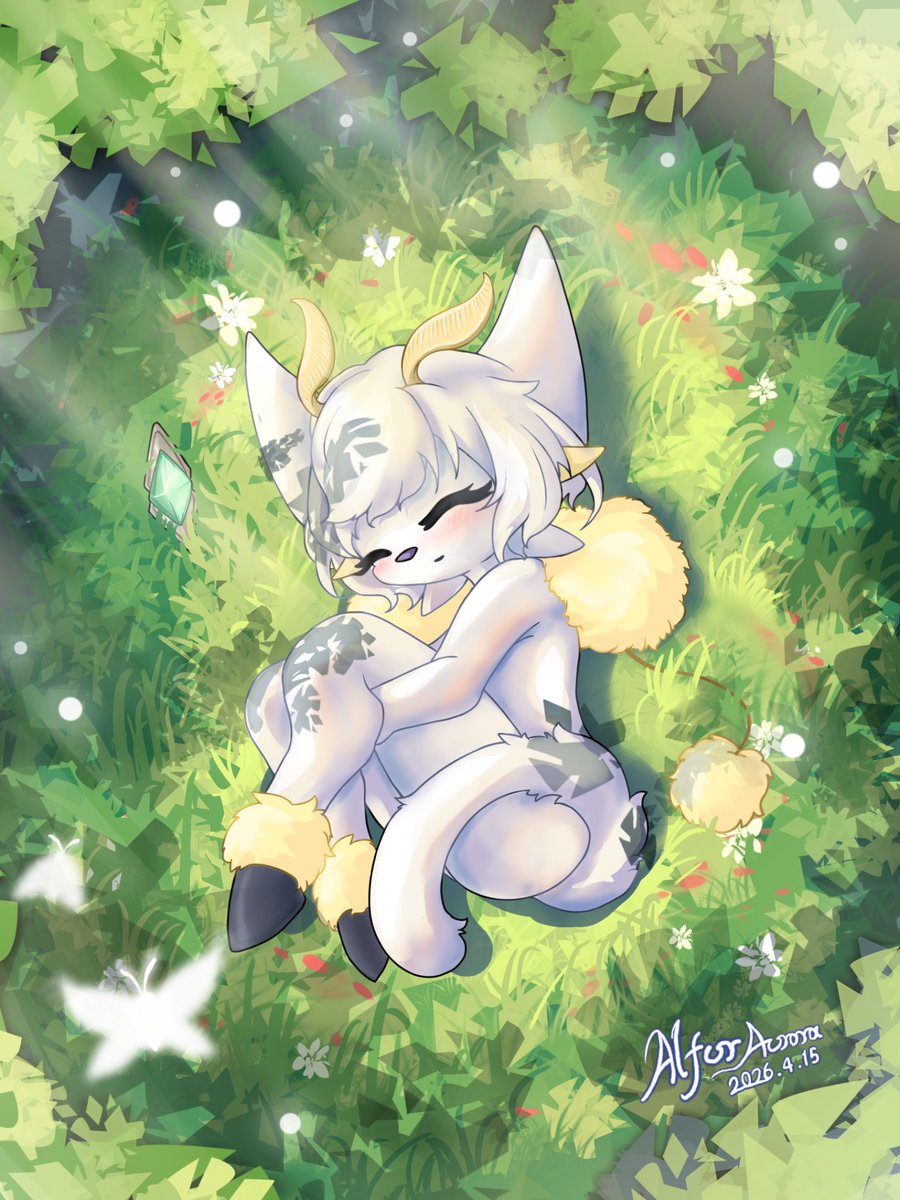 Eyco Aurora tweet media