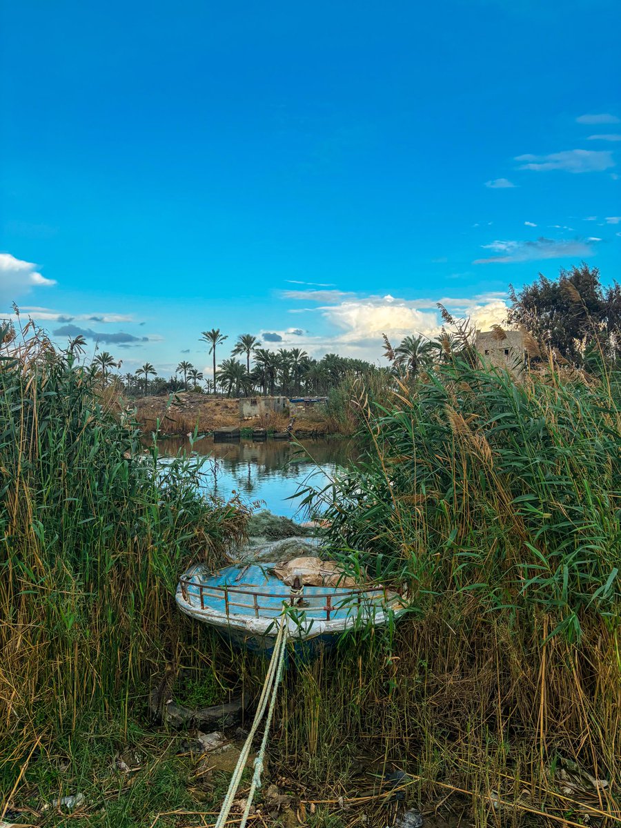 محمد tweet media