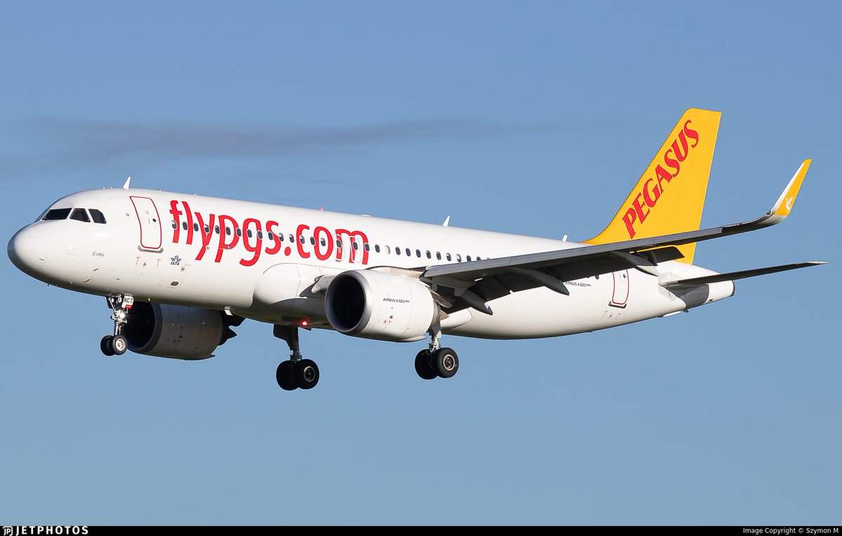 Aeropuerto Alicante-Elche tweet media