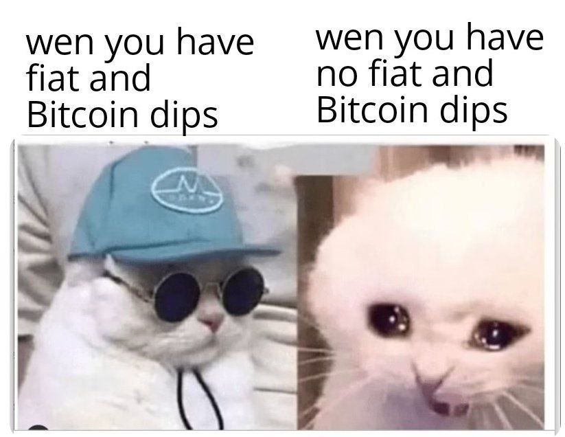 dextrade_'s tweet image. Stack smart. Time the dips. Trade on dex-trade.com 💹
#CryptoMemes #BitcoinDip #StackSats #DexTrade