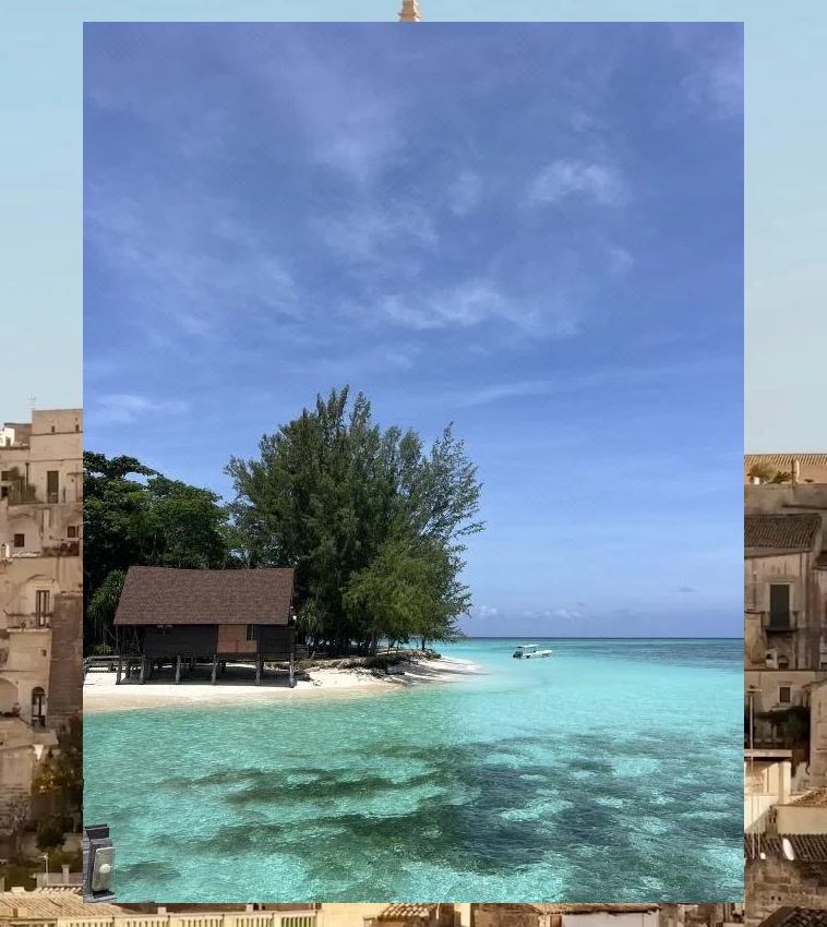 Bryan Castillo tweet media