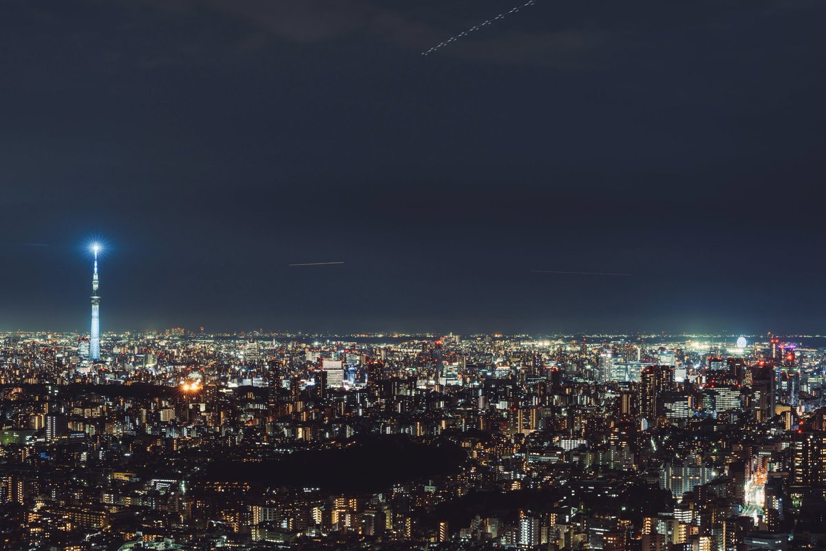 🕊 𓂃𓈒 𓂂𓏸 tweet media