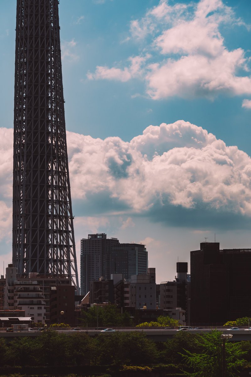 🕊 𓂃𓈒 𓂂𓏸 tweet media