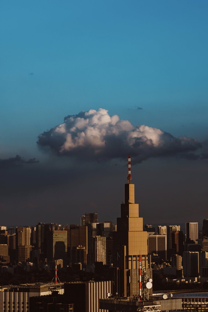 🕊 𓂃𓈒 𓂂𓏸 tweet media