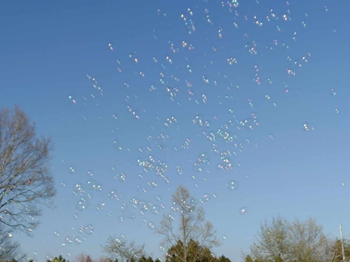 🥦しゃか🥦 tweet media