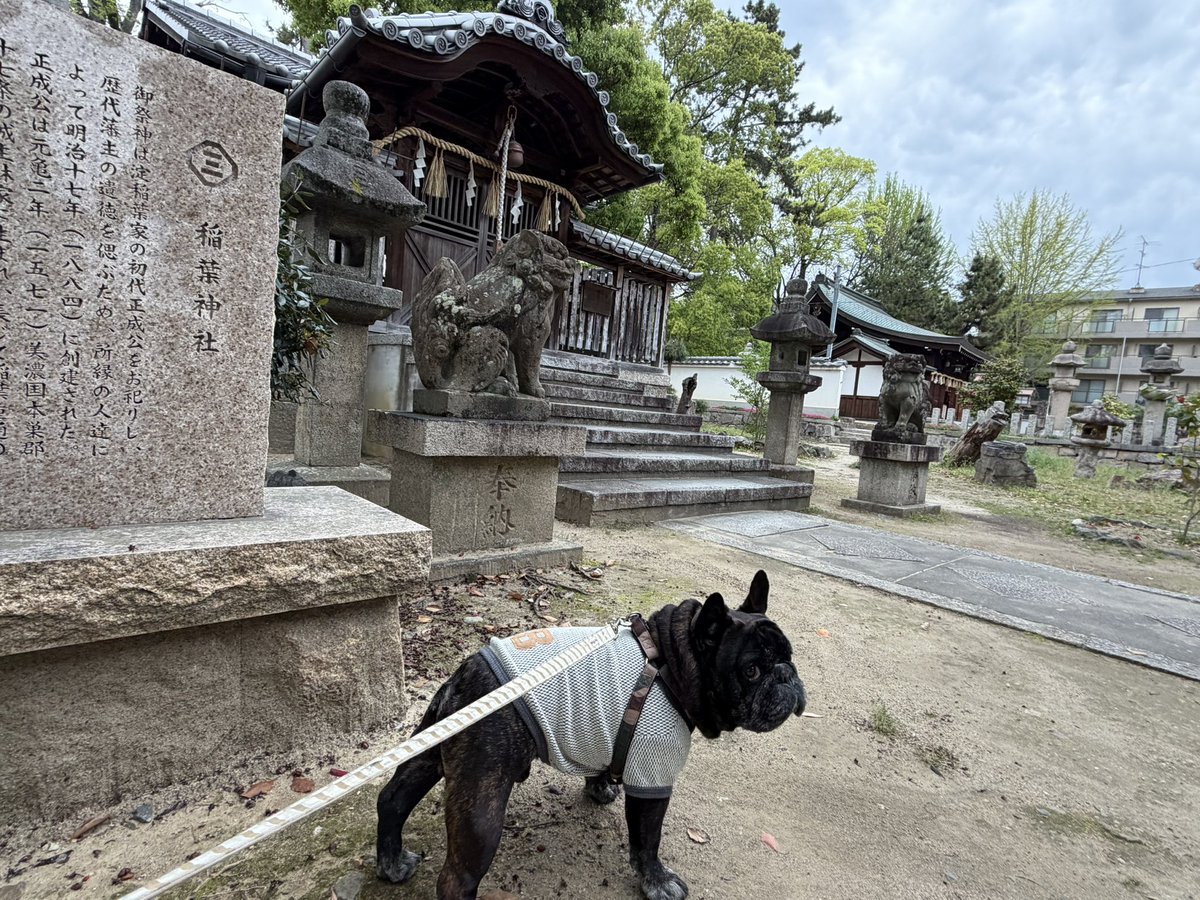 サーブ tweet media